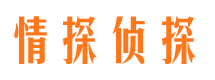 海南区情探私家侦探公司